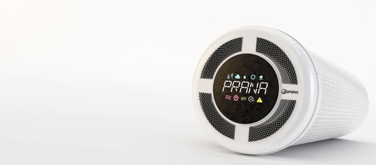 Prana 160 MINI ERP PRO