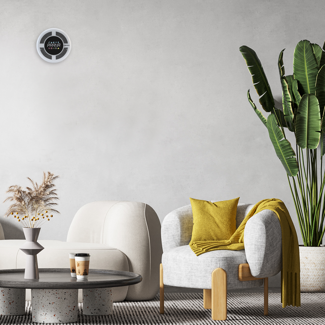 Prana 160 MINI ERP PRO