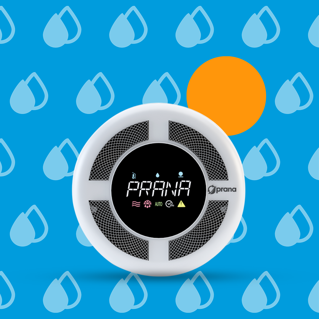 Prana 160 MINI ERP PRO