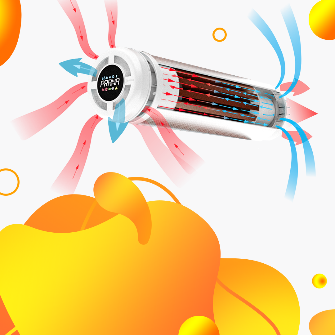 Prana 160 MINI ERP PRO